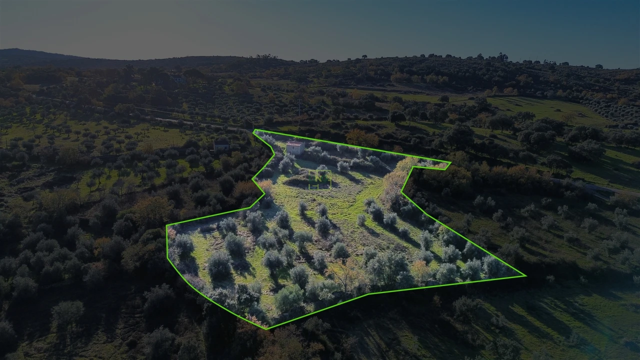 Quinta T0 para Venda em Oledo Foto 52