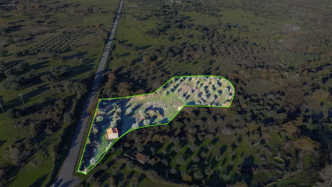 Quinta T0 para Venda em Oledo Foto 42