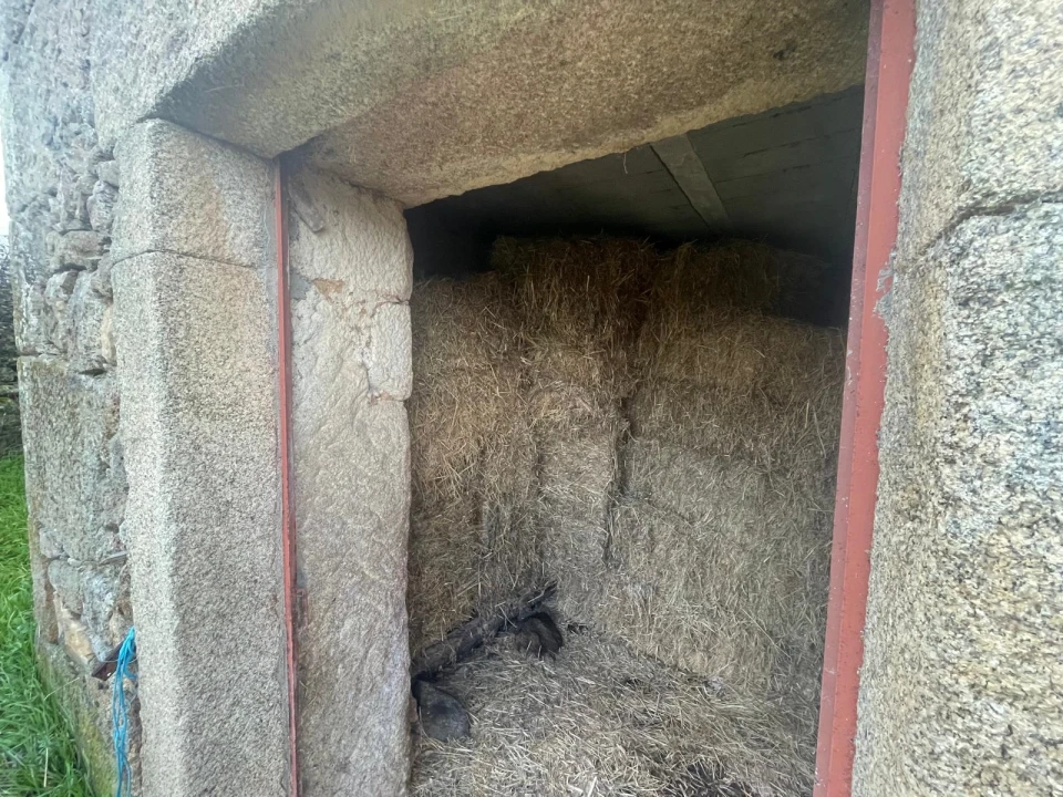 Quinta T0 para Venda em Oledo Foto 32