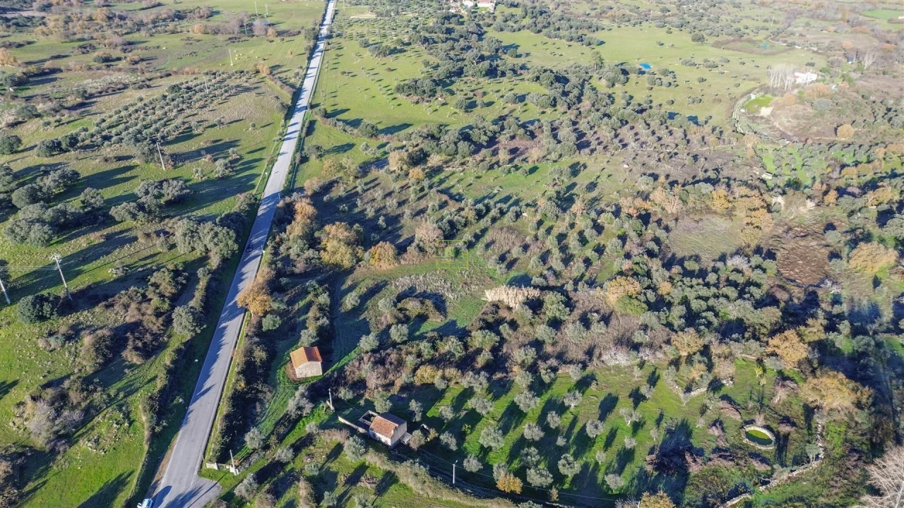 Quinta T0 para Venda em Oledo Foto 41