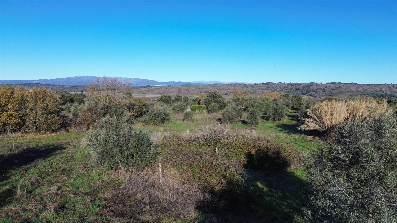 Quinta T0 para Venda em Oledo Foto 60