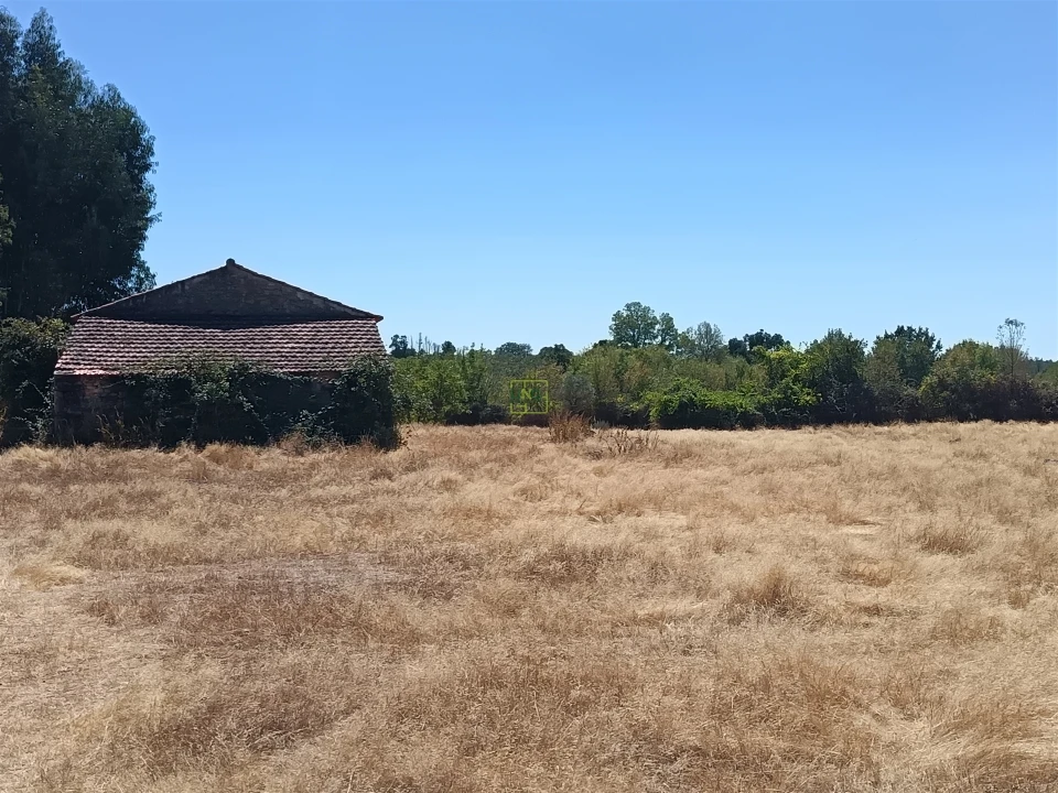 Quinta T0 para Venda em Penamacor Foto 3