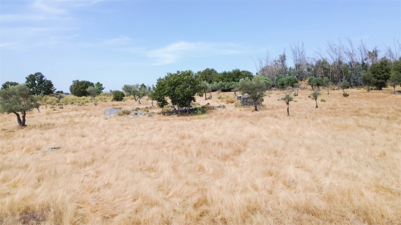 Quinta T0 para Venda em Penamacor Foto 19