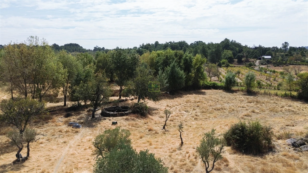 Quinta T0 para Venda em Penamacor Foto 26