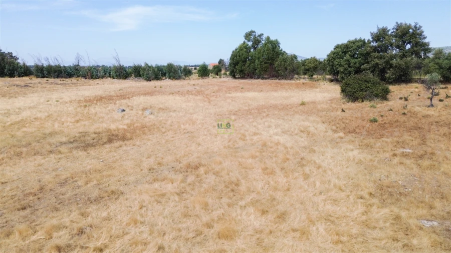 Quinta T0 para Venda em Penamacor Foto 34