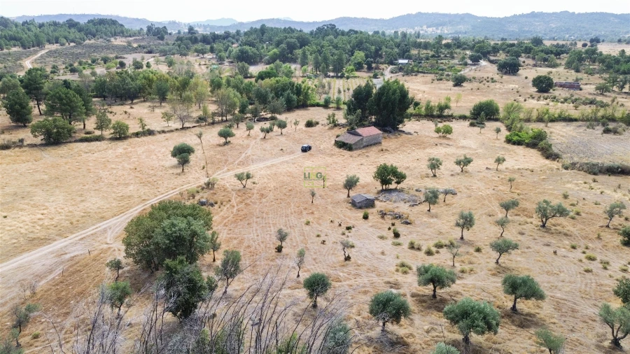 Quinta T0 para Venda em Penamacor Foto 42
