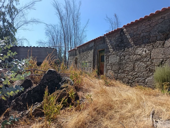 Quinta T0 para Venda em Penamacor Foto 6