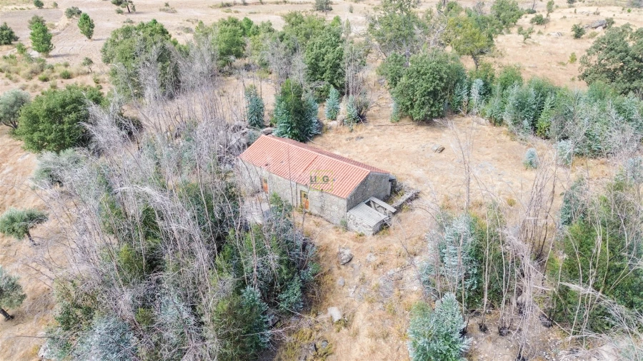 Quinta T0 para Venda em Penamacor Foto 39