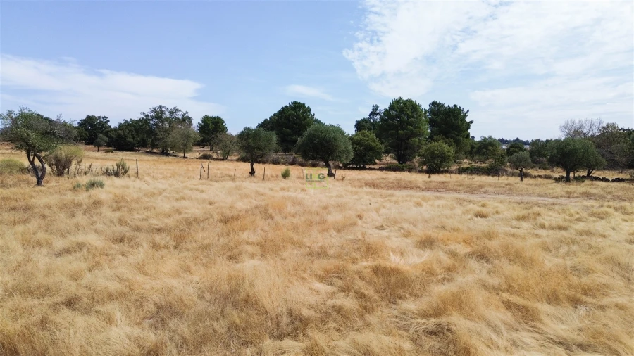 Quinta T0 para Venda em Penamacor Foto 22