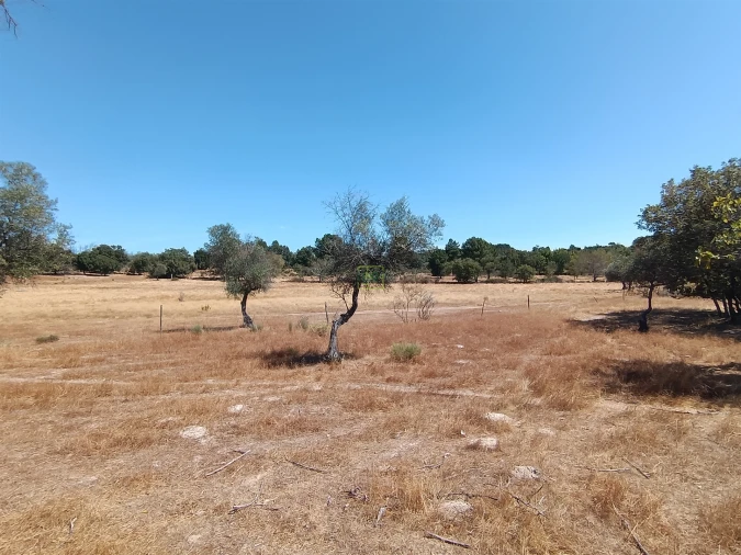 Quinta T0 para Venda em Penamacor Foto 5