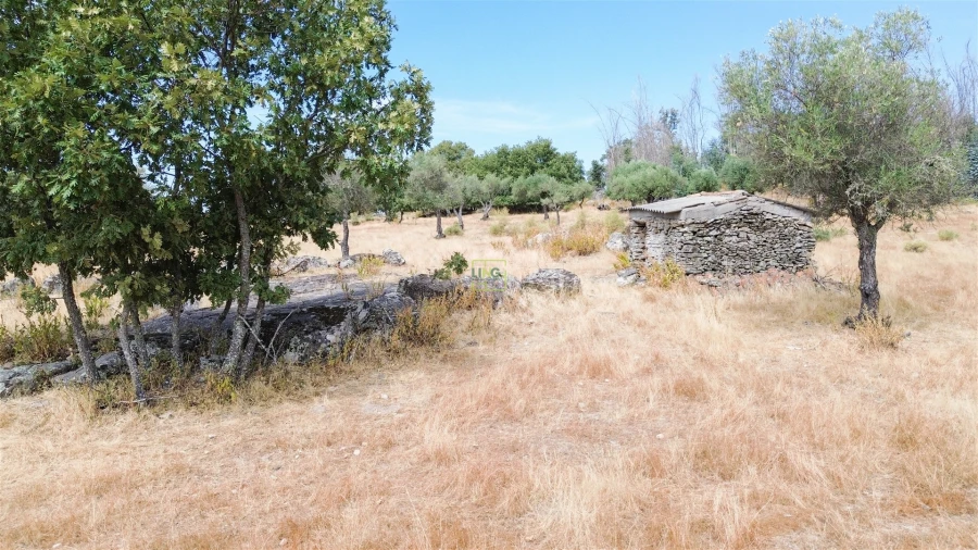 Quinta T0 para Venda em Penamacor Foto 20