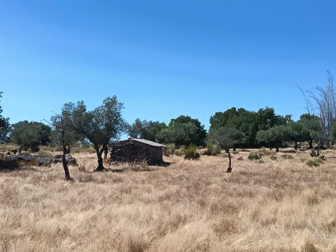 Quinta T0 para Venda em Penamacor Foto 2