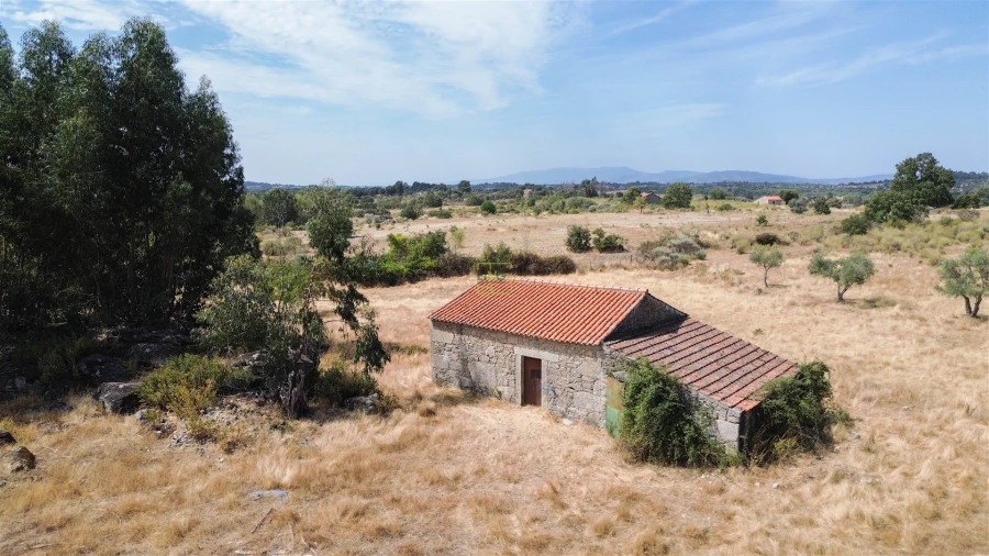 Quinta T0 para Venda em Penamacor Foto 27