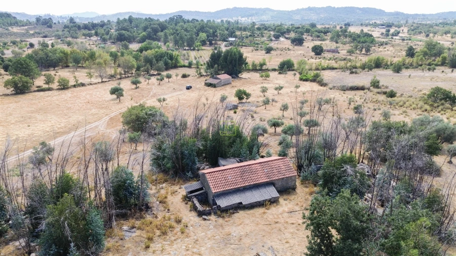 Quinta T0 para Venda em Penamacor Foto 40