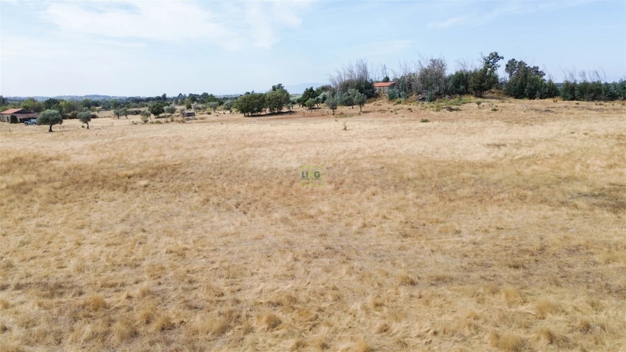 Quinta T0 para Venda em Penamacor Foto 35