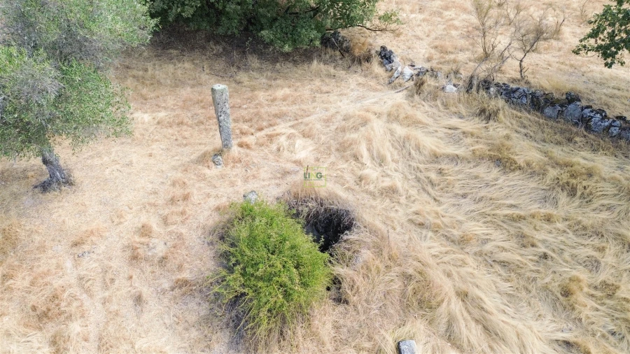 Quinta T0 para Venda em Penamacor Foto 32