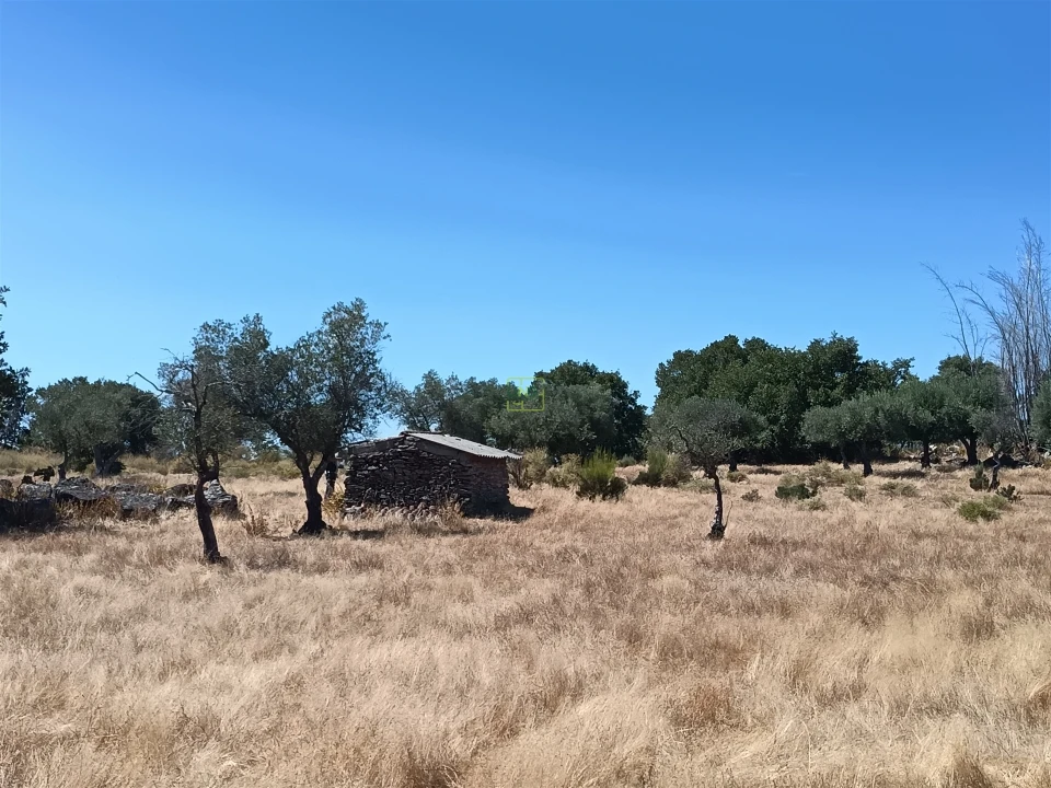 Quinta T0 para Venda em Penamacor Foto 2