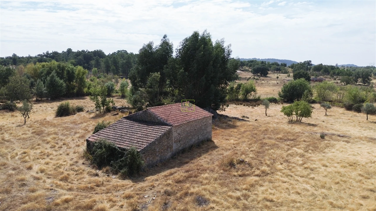 Quinta T0 para Venda em Penamacor Foto 24
