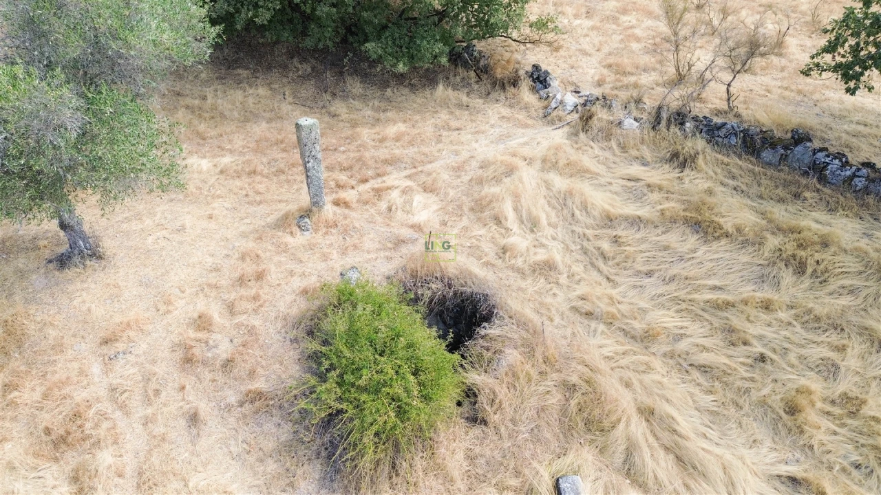 Quinta T0 para Venda em Penamacor Foto 32