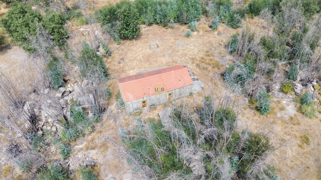 Quinta T0 para Venda em Penamacor Foto 11