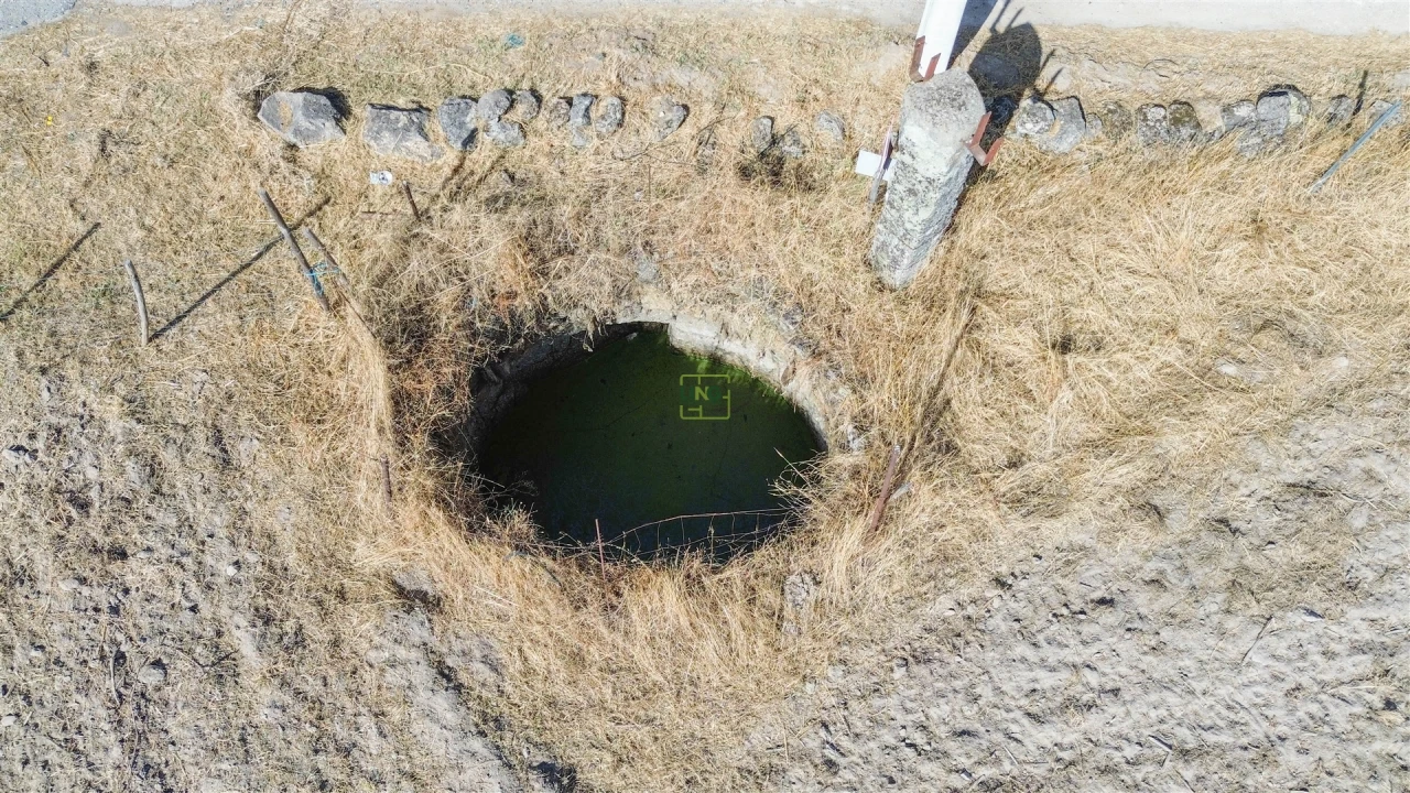 Terreno Agricola ou Rústico para Venda em Lardosa Foto 20