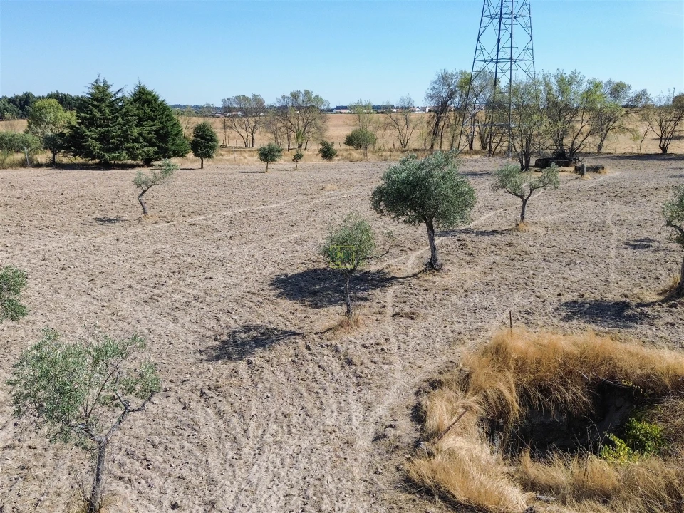 Terreno Agricola ou Rústico para Venda em Lardosa Foto 8