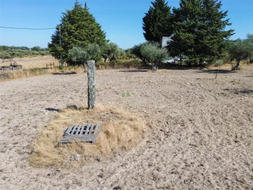 Terreno Agricola ou Rústico para Venda em Lardosa