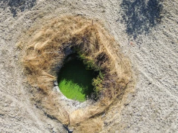 Terreno Agricola ou Rústico para Venda em Lardosa