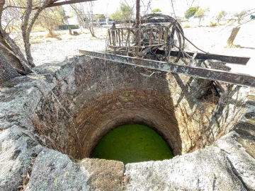 Terreno Agricola ou Rústico para Venda em Lardosa
