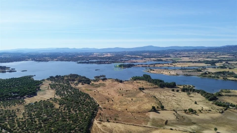 Terreno Agricola ou Rústico para Venda em Lardosa