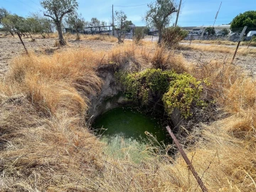 Terreno Agricola ou Rústico para Venda em Lardosa