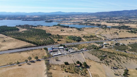 Terreno Agricola ou Rústico para Venda em Lardosa