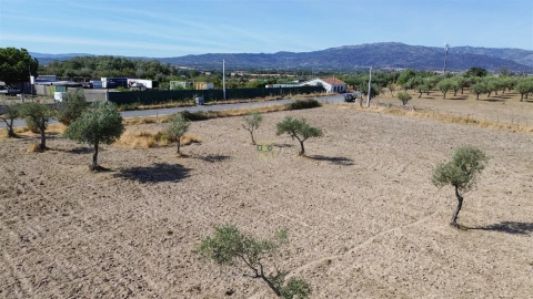 Terreno Agricola ou Rústico para Venda em Lardosa