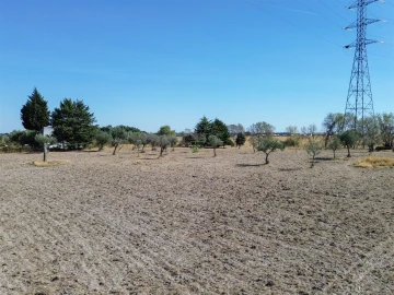 Terreno Agricola ou Rústico para Venda em Lardosa