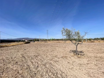 Terreno Agricola ou Rústico para Venda em Lardosa