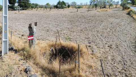 Terreno Agricola ou Rústico para Venda em Lardosa