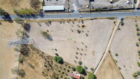 Terreno Agricola ou Rústico para Venda em Lardosa