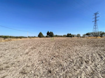 Terreno Agricola ou Rústico para Venda em Lardosa