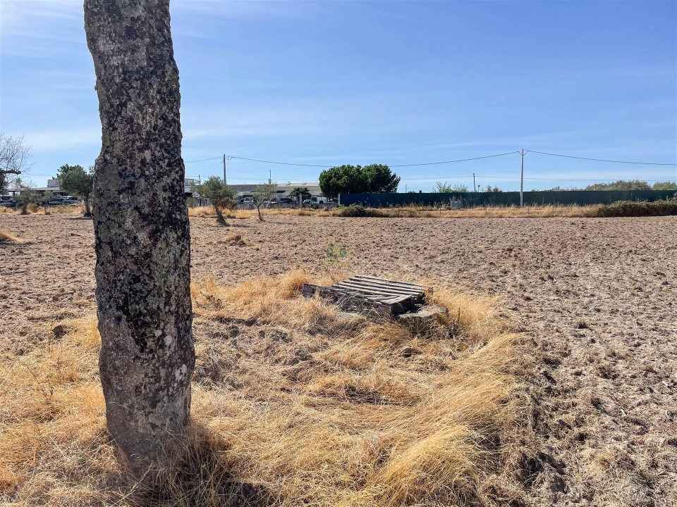 Terreno Agricola ou Rústico para Venda em Lardosa Foto 54