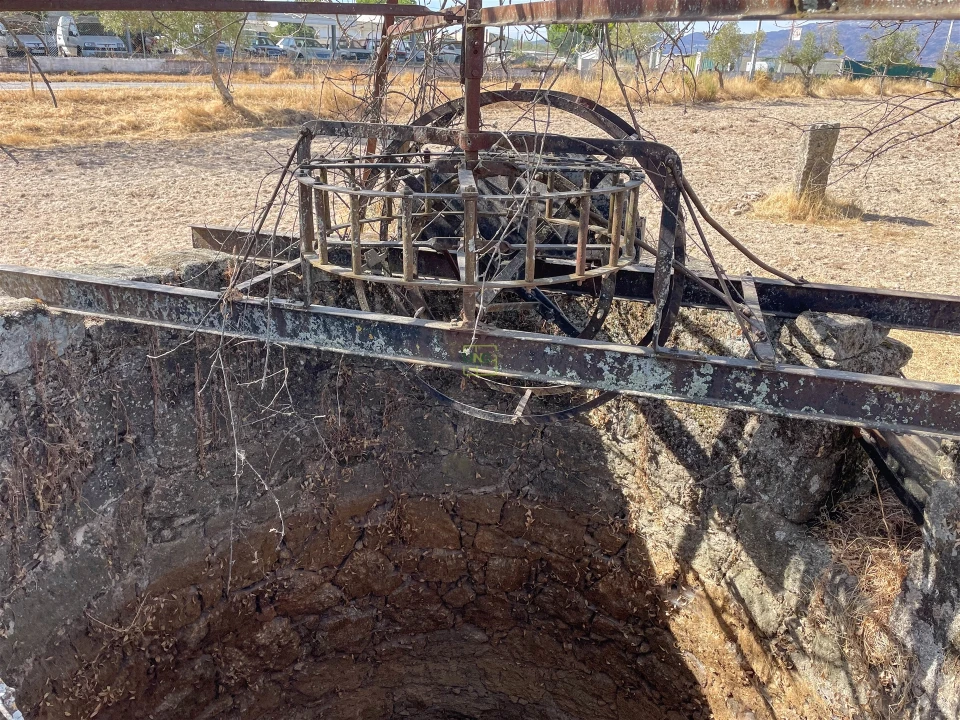 Terreno Agricola ou Rústico para Venda em Lardosa Foto 16