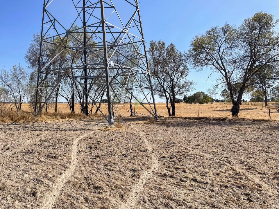 Terreno Agricola ou Rústico para Venda em Lardosa Foto 46