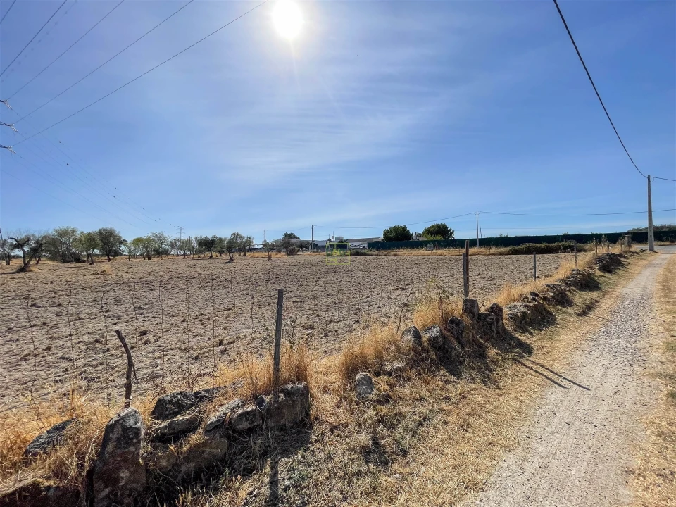 Terreno Agricola ou Rústico para Venda em Lardosa Foto 61