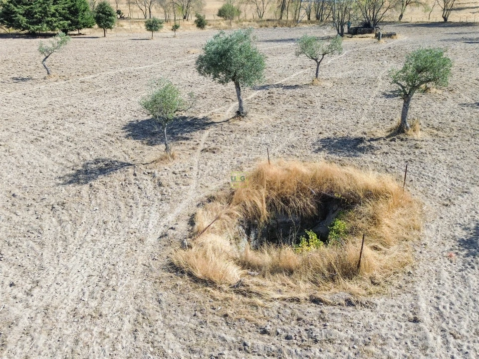 Terreno Agricola ou Rústico para Venda em Lardosa Foto 7