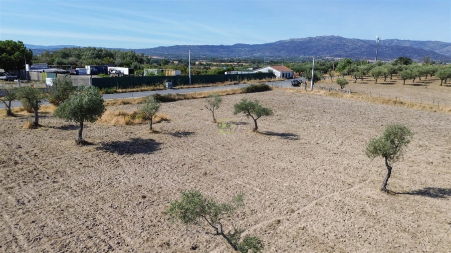 Terreno Agricola ou Rústico para Venda em Lardosa Foto 14