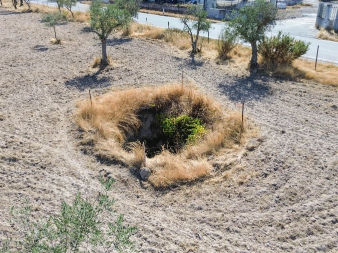 Terreno Agricola ou Rústico para Venda em Lardosa Foto 4