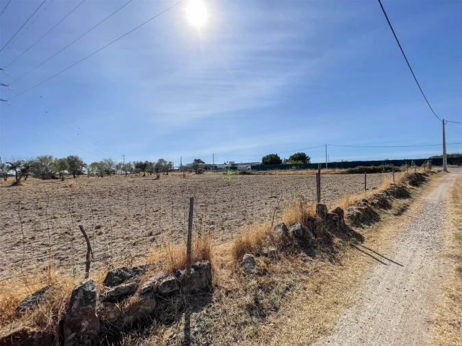Terreno Agricola ou Rústico para Venda em Lardosa Foto 61