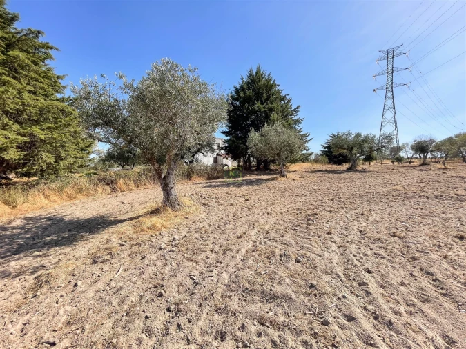 Terreno Agricola ou Rústico para Venda em Lardosa Foto 57
