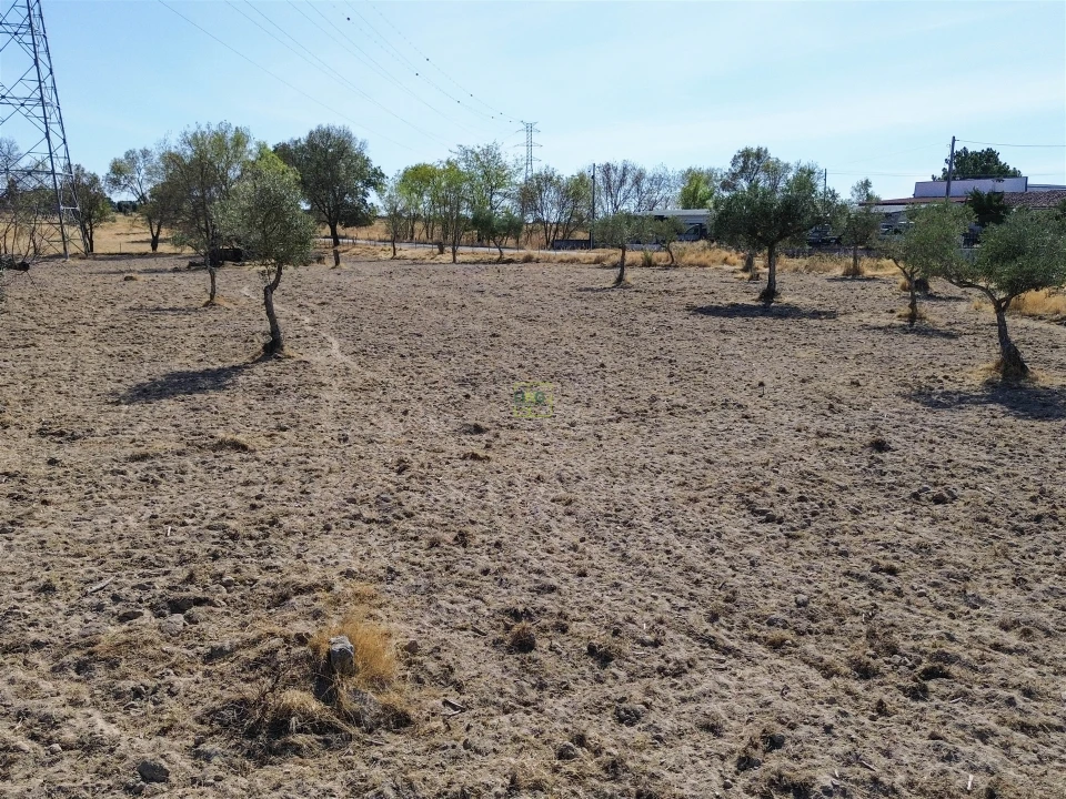 Terreno Agricola ou Rústico para Venda em Lardosa Foto 3