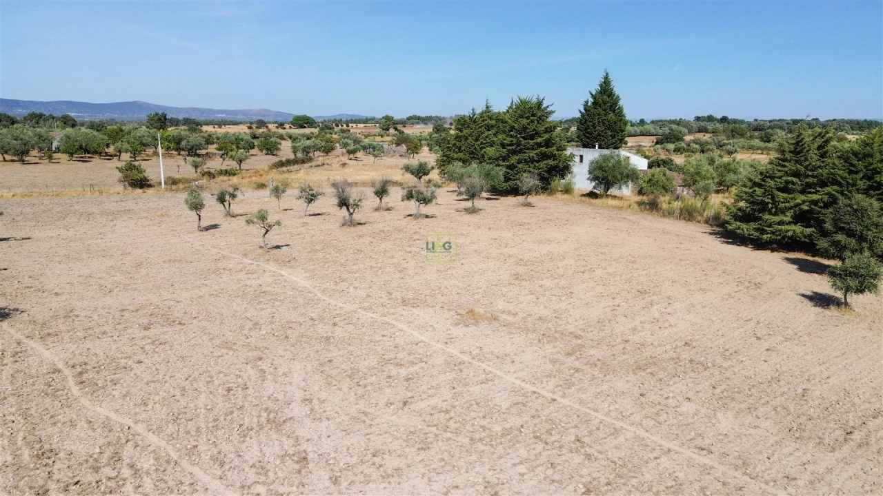 Terreno Agricola ou Rústico para Venda em Lardosa Foto 26