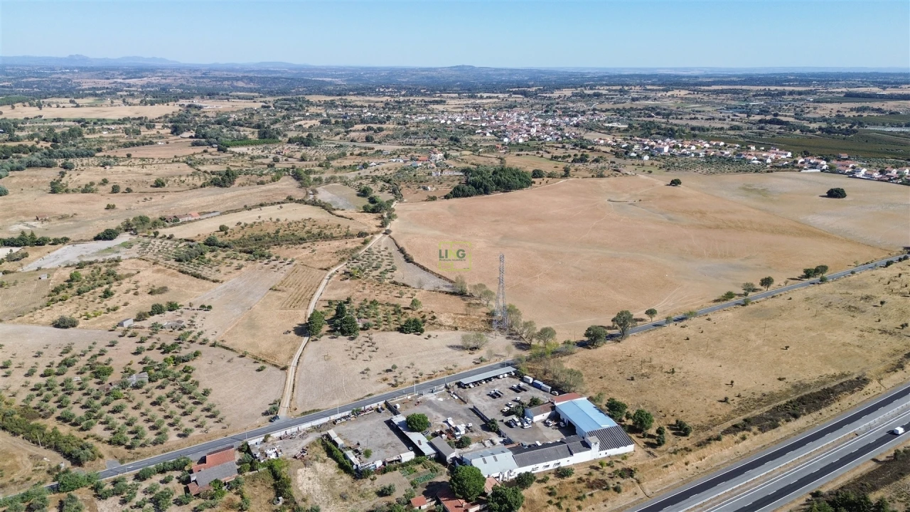 Terreno Agricola ou Rústico para Venda em Lardosa Foto 35